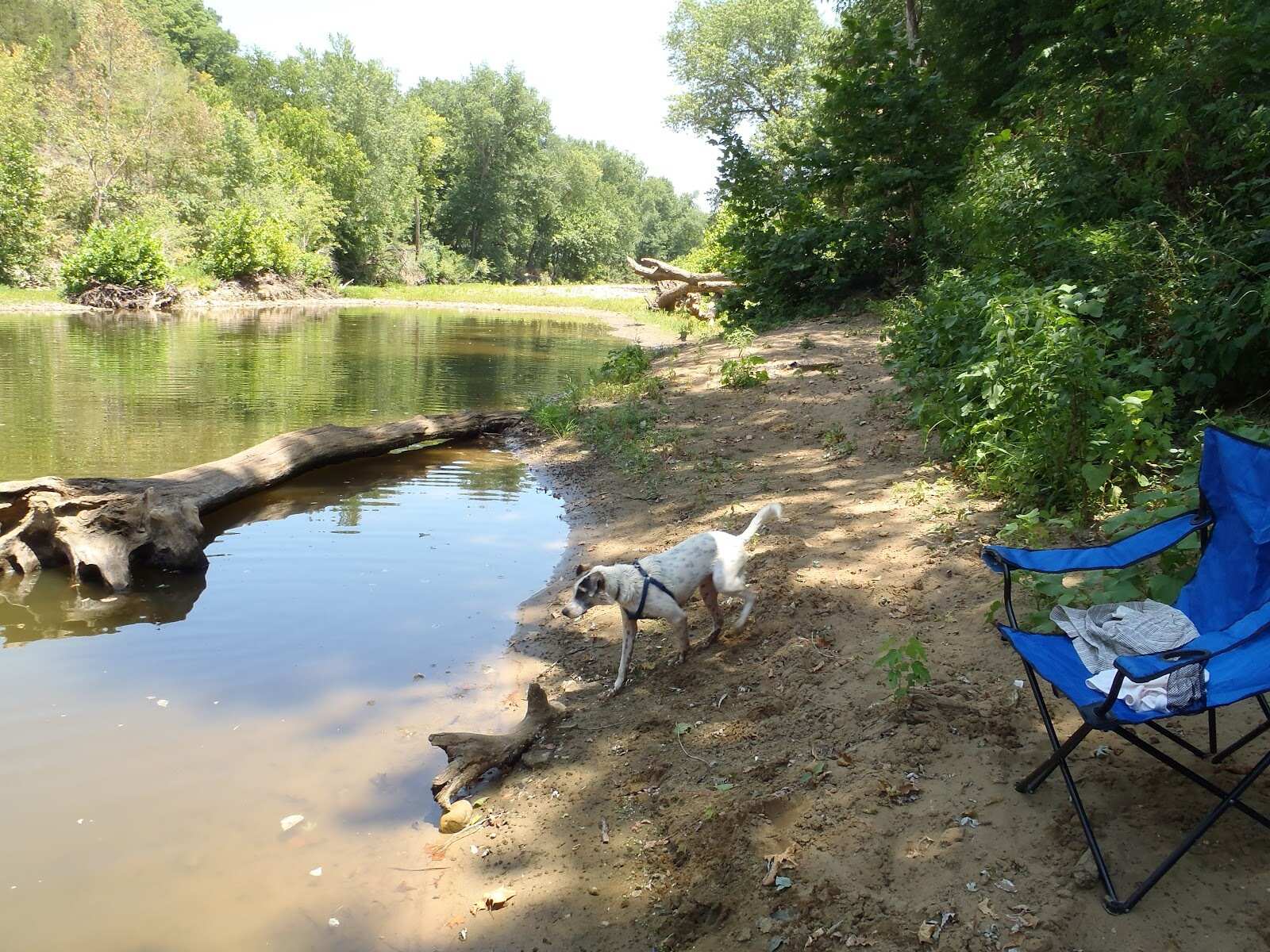 hidden-springs-of-arkansass-war-eagle-creek