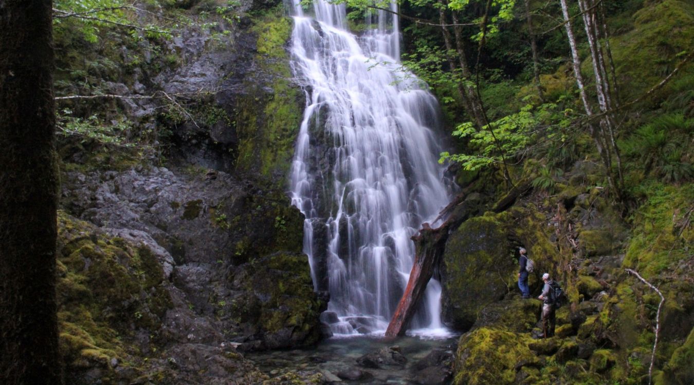 hidden-springs-of-oregons-opal-creek-wilderness