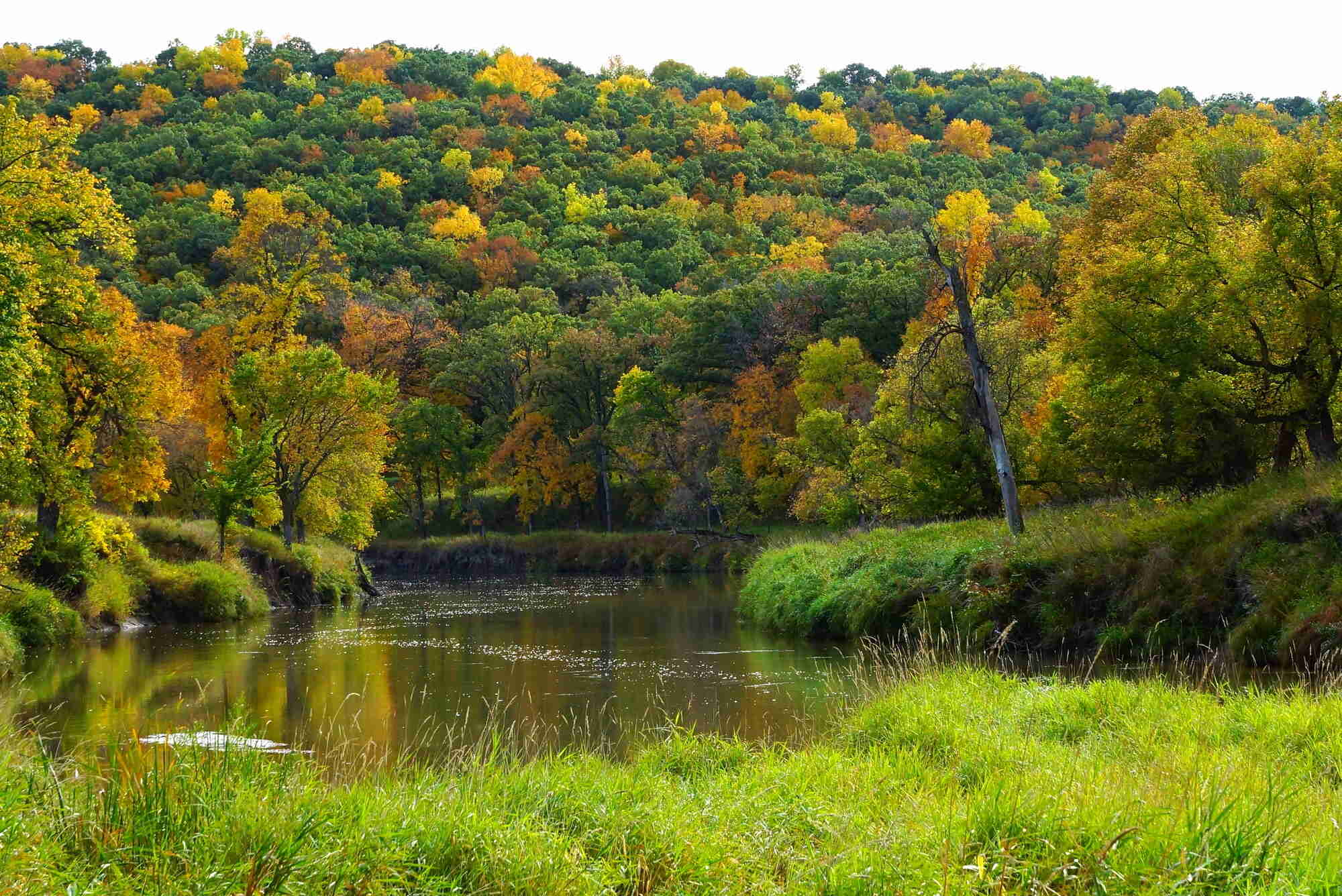 hidden-storm-cellars-of-north-dakotas-sheyenne-valley