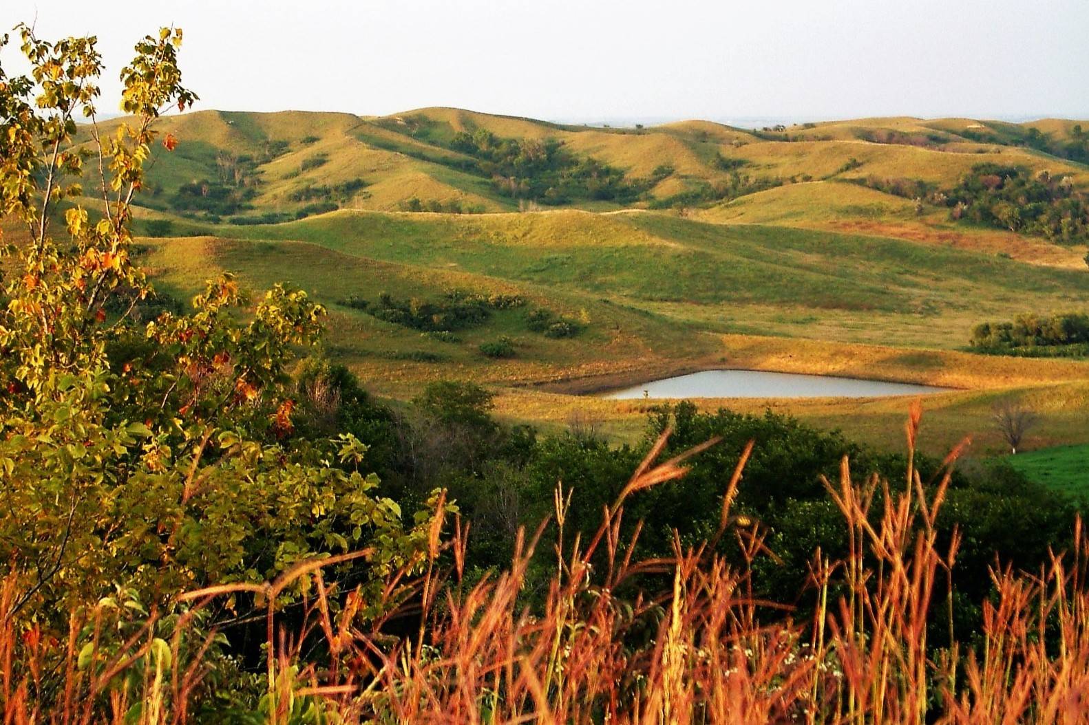 hidden-streams-of-iowas-broken-kettle-grasslands