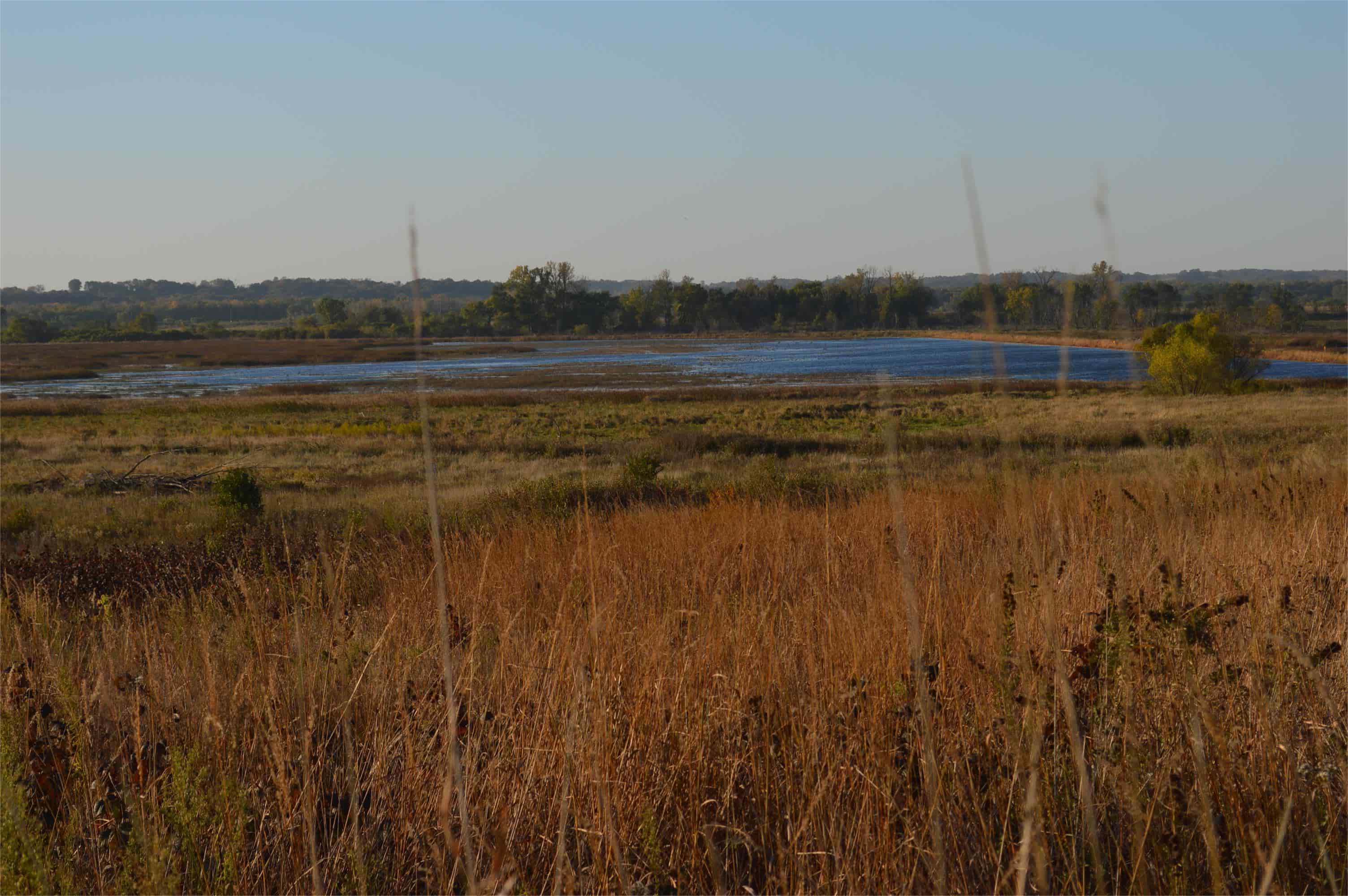 hidden-streams-of-iowas-otter-creek-marsh