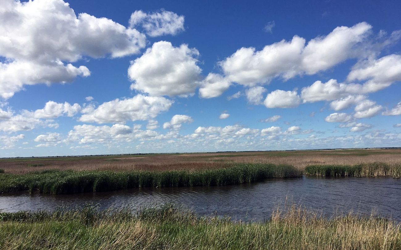 hidden-streams-of-kansas-cheyenne-bottoms-refuge