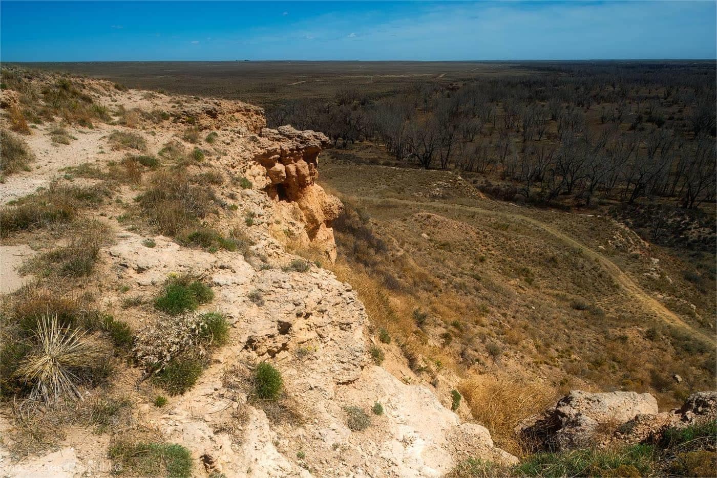 hidden-streams-of-kansas-cimarron-grassland
