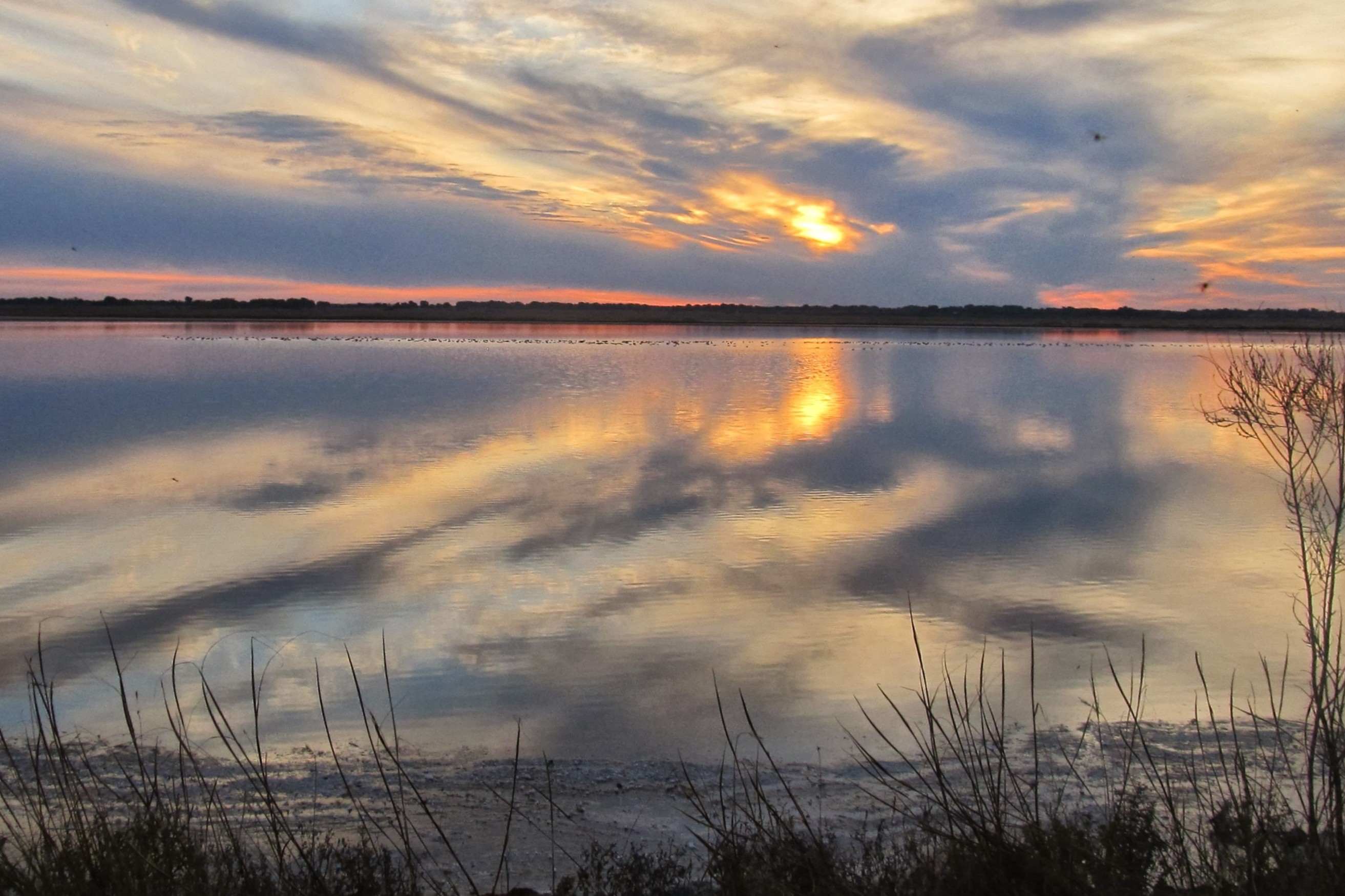hidden-streams-of-kansas-quivira-wildlife-refuge