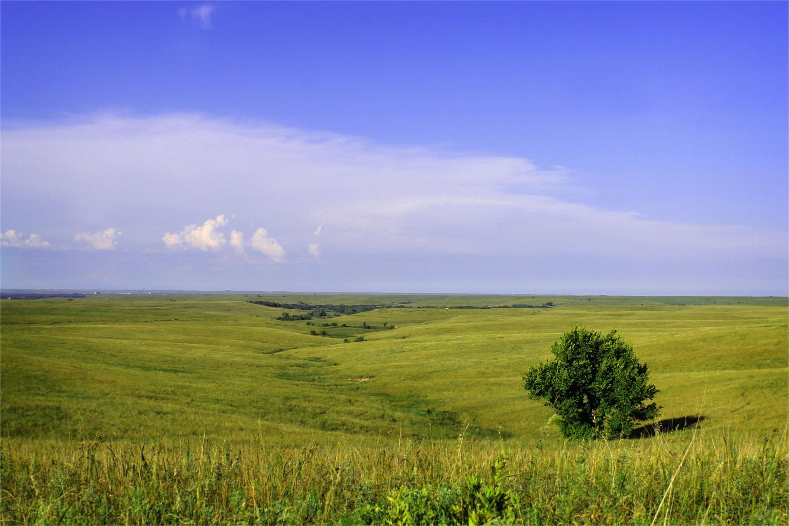 hidden-streams-of-kansass-tallgrass-prairie