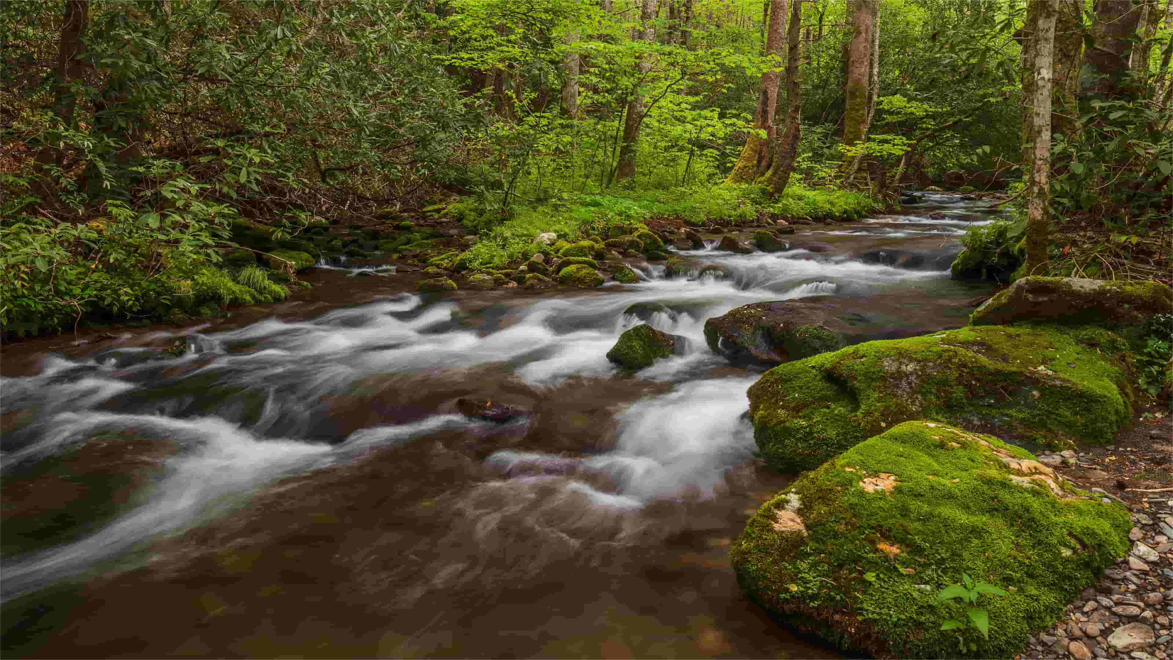hidden-streams-of-north-carolinas-great-smokies