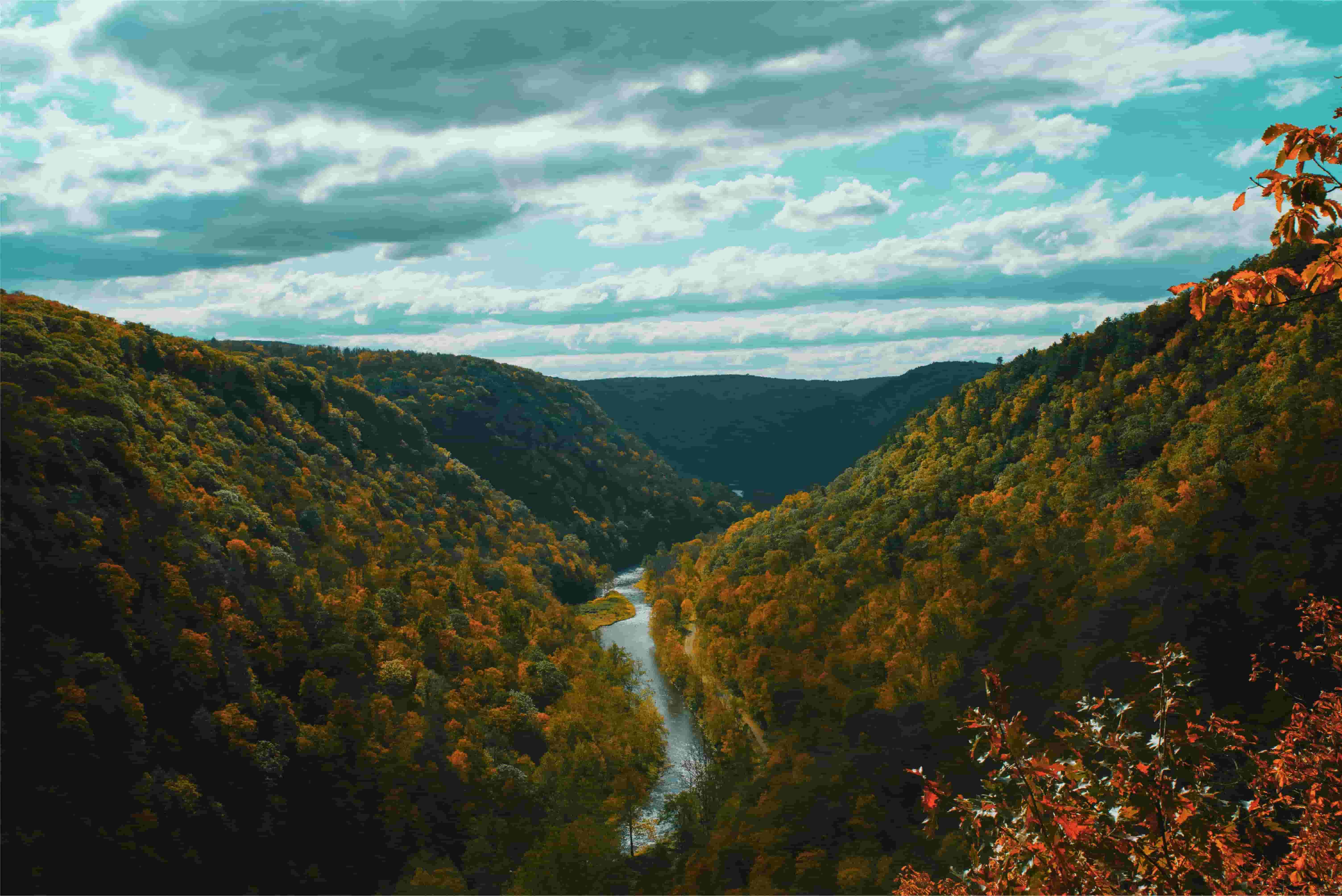 hidden-streams-of-pennsylvanias-pine-creek-gorge