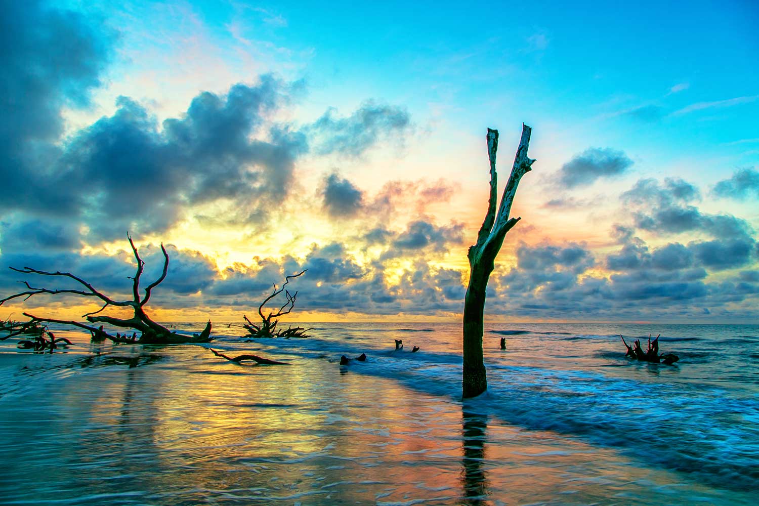 hidden-tidal-channels-of-south-carolinas-cape-romain