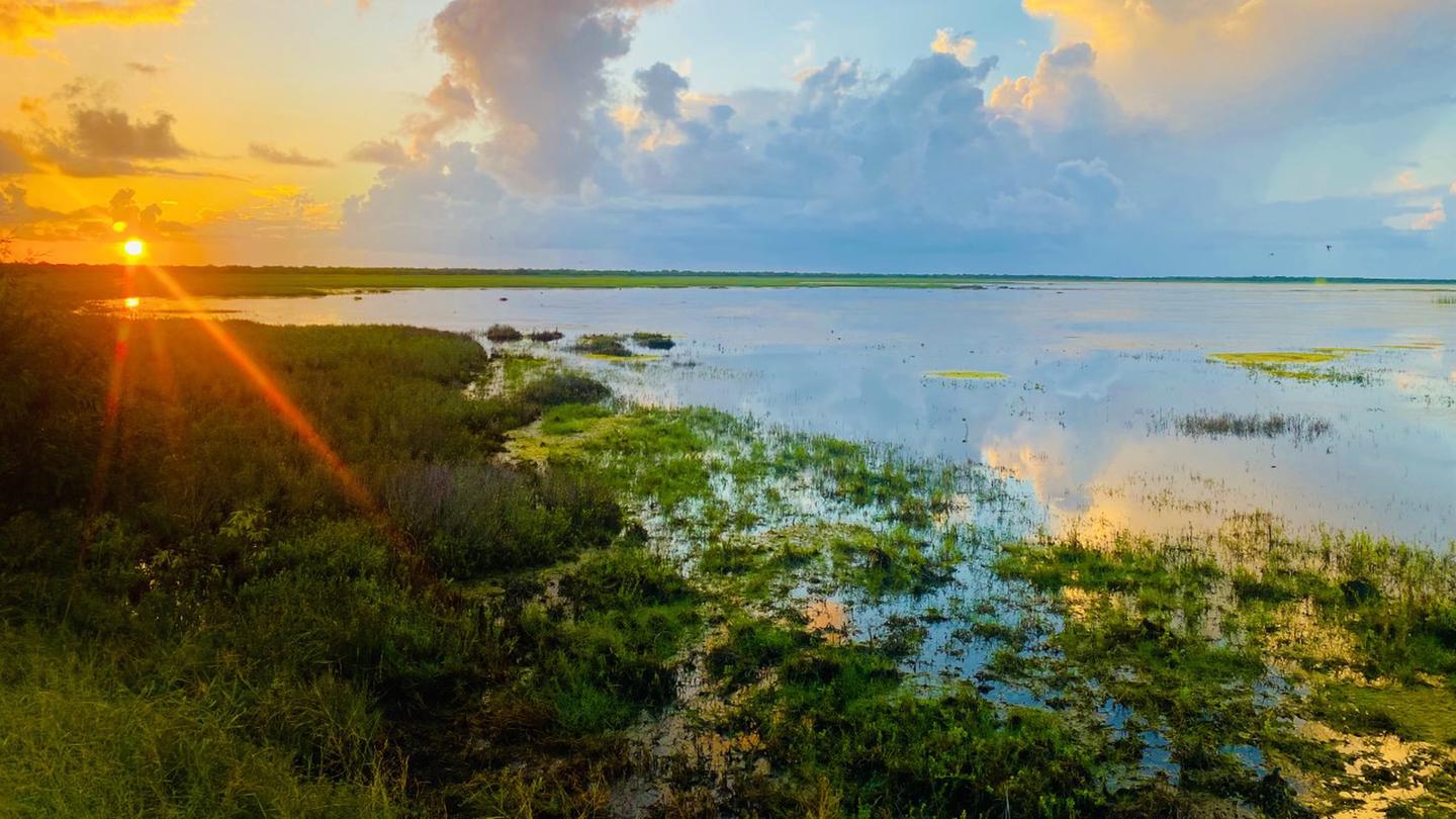 hidden-tidal-lagoons-of-texas-laguna-atascosa-refuge