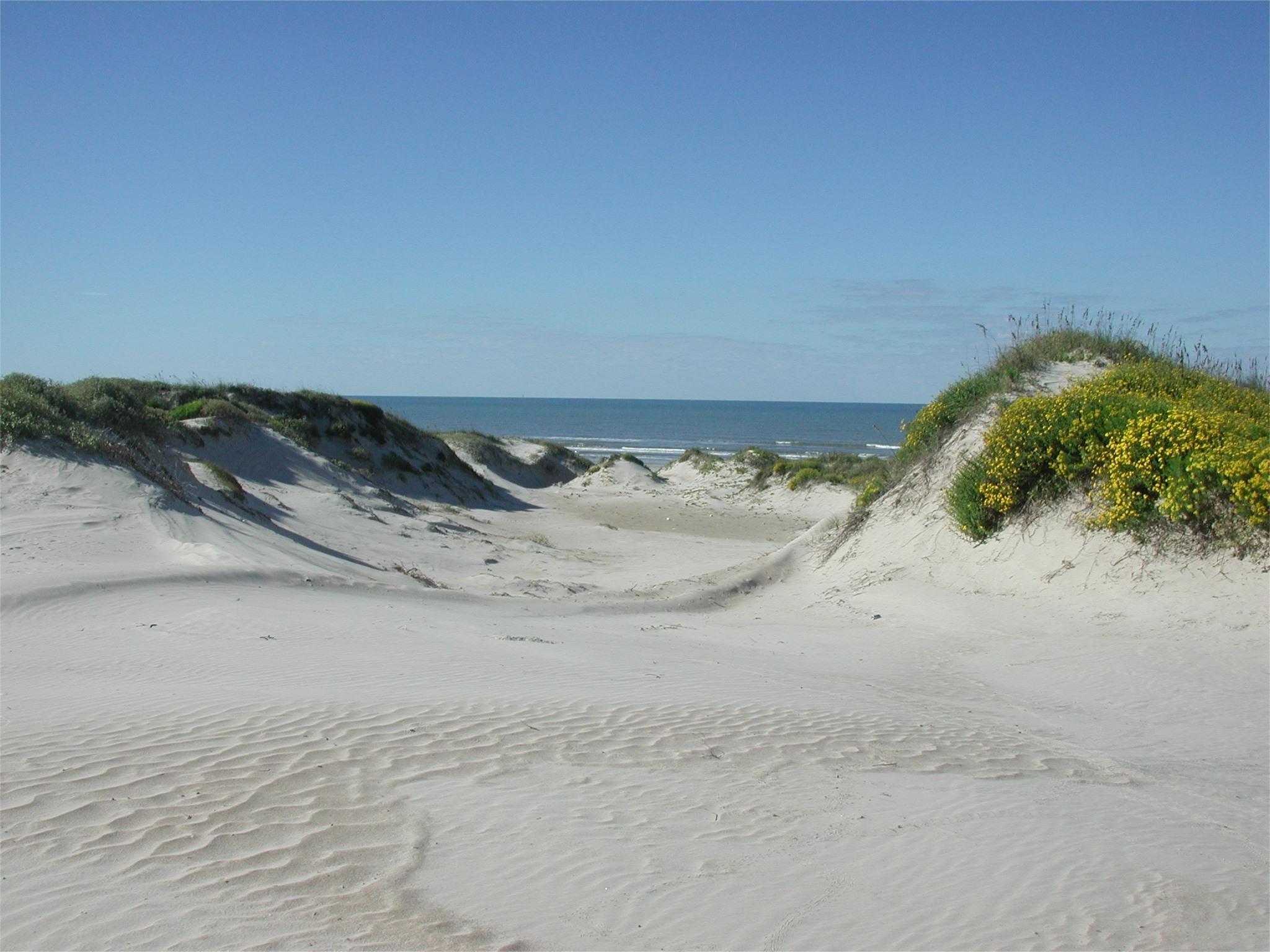 hidden-tidal-lagoons-of-texas-padre-island-seashore