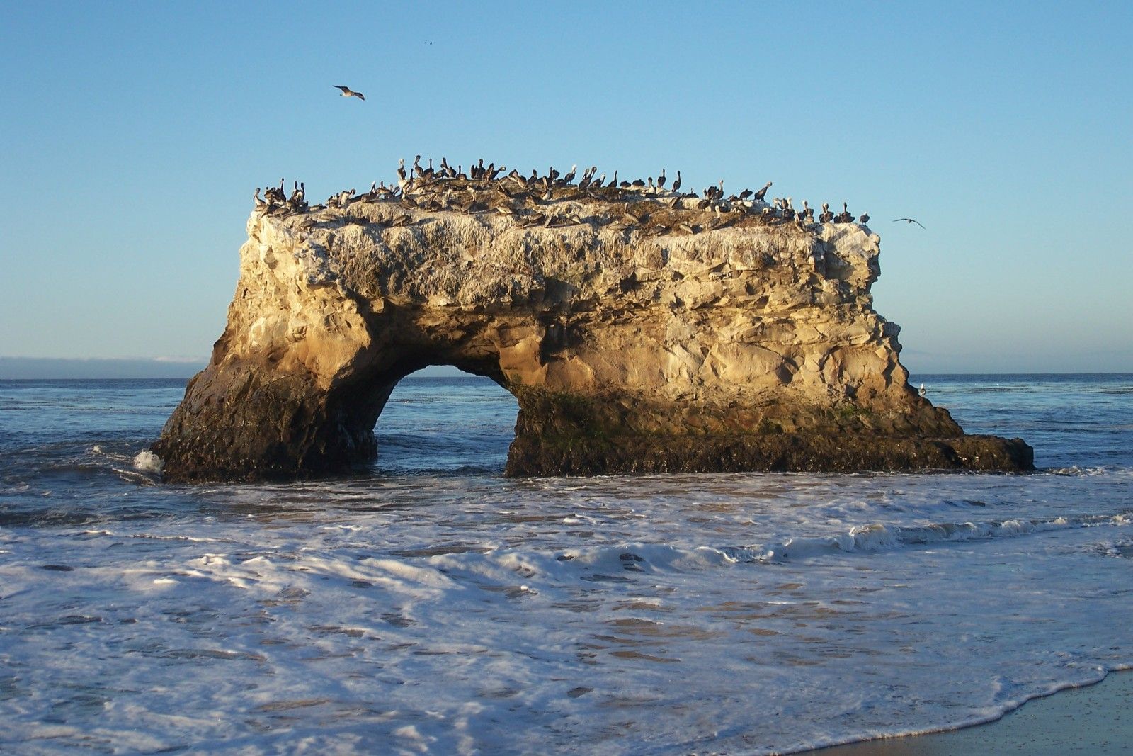 hidden-tidal-pools-at-californias-natural-bridges