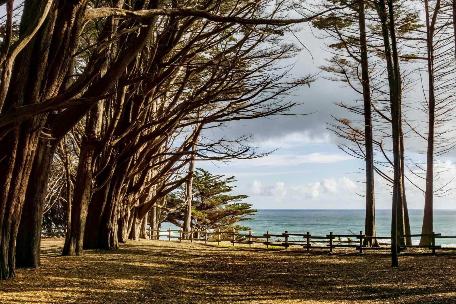 hidden-tide-pools-of-californias-fitzgerald-marine-reserve