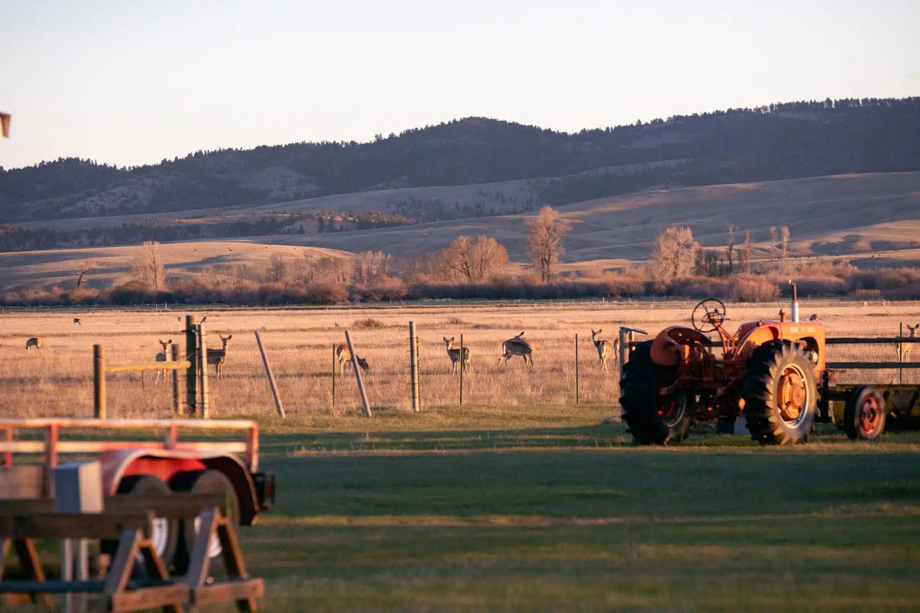hidden-trading-post-secrets-of-montanas-smith-river
