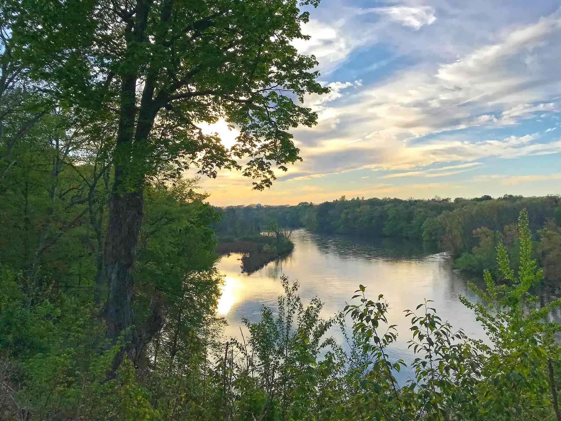 hidden-treasures-of-michigans-allegan-forest