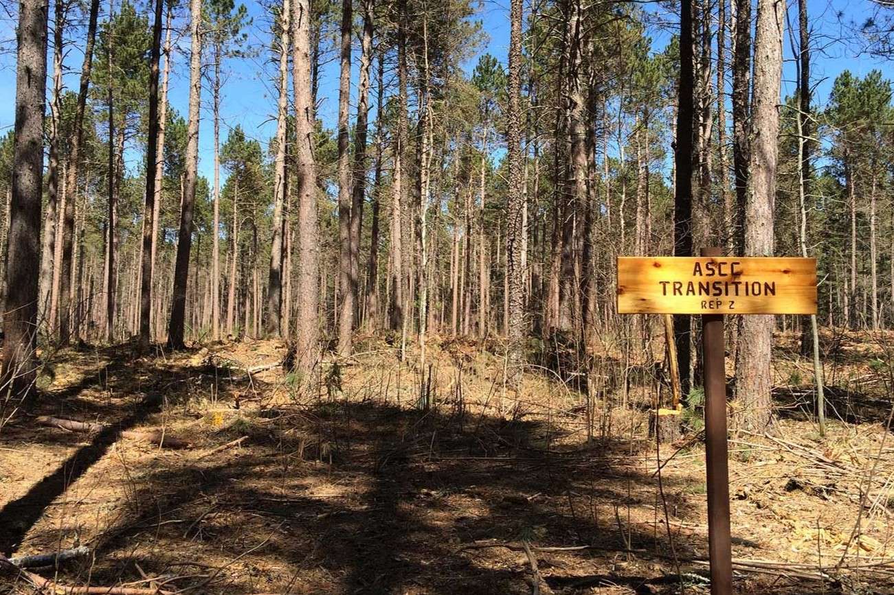 hidden-treasures-of-minnesotas-forest-history-center