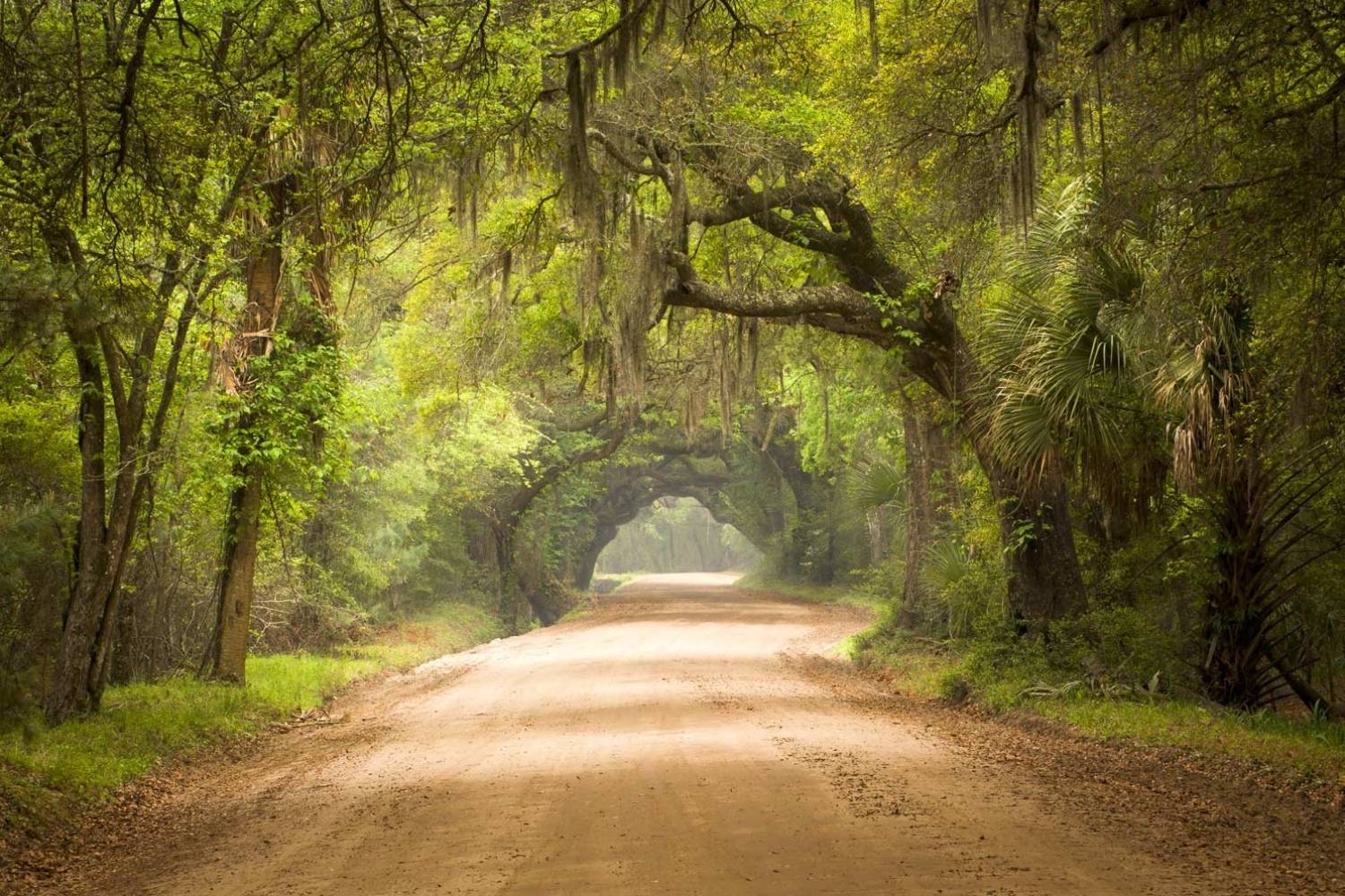 hidden-treasures-of-south-carolinas-botany-bay-plantation