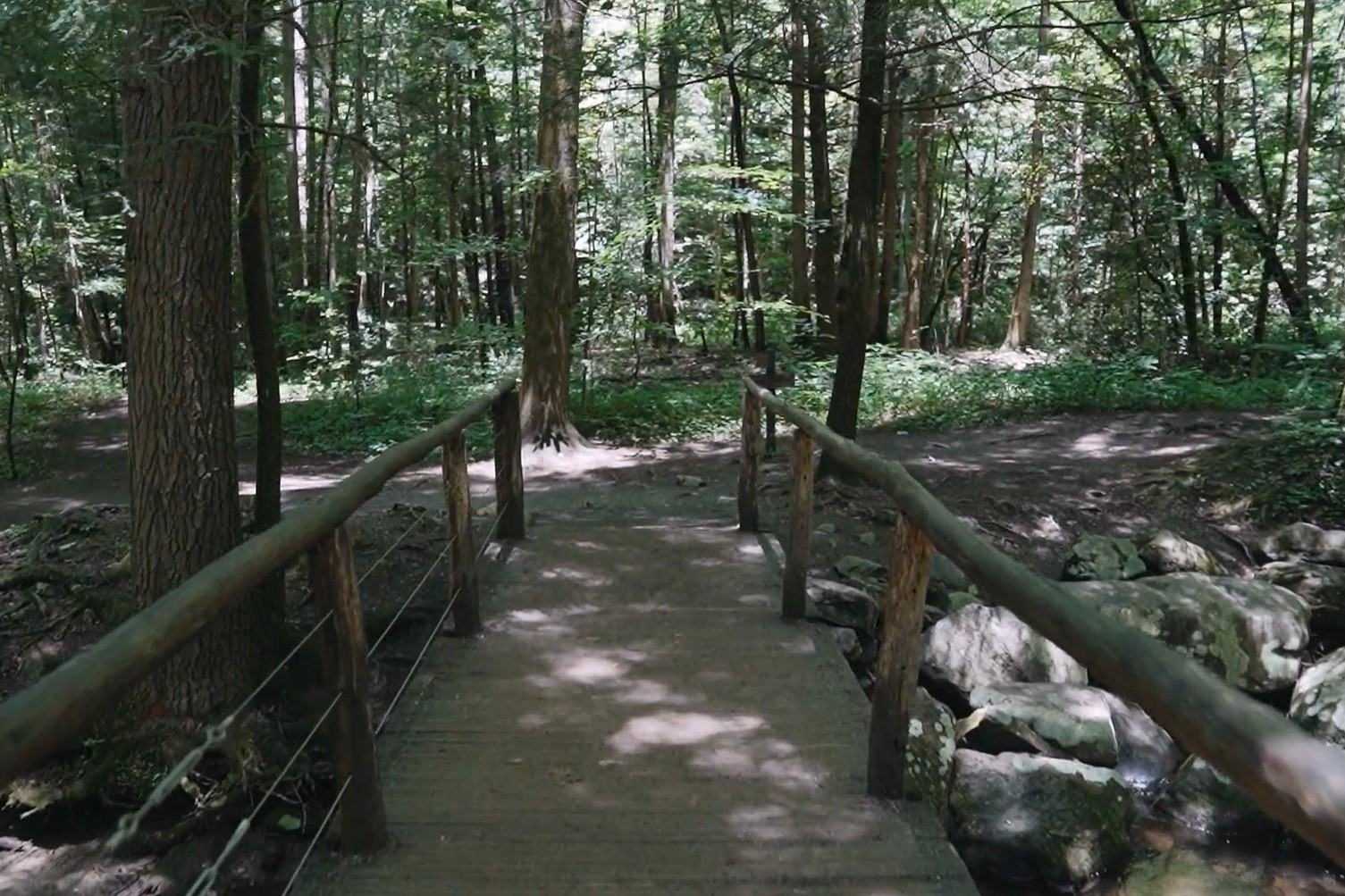 hidden-views-at-tennessees-cataract-falls