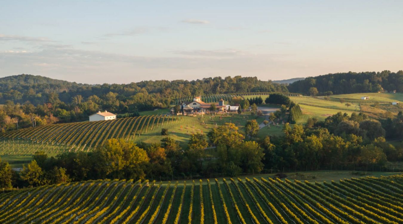 hidden-vineyards-of-virginias-hunt-country