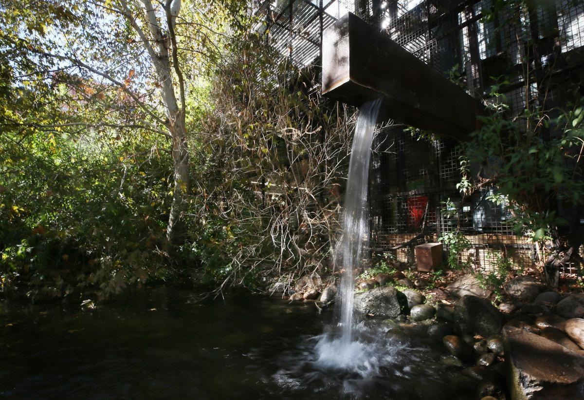 hidden-water-secrets-of-arizonas-sonoran-institute