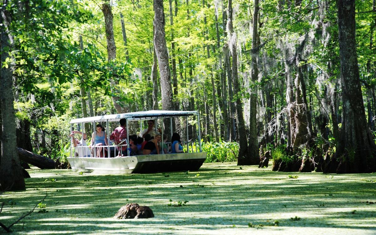 hidden-wetland-boardwalks-in-louisianas-honey-island-swamp