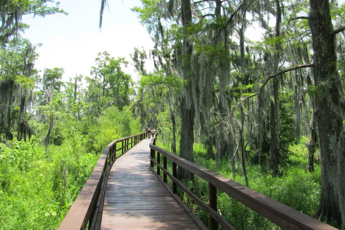 hidden-wetland-boardwalks-in-louisianas-jean-lafitte
