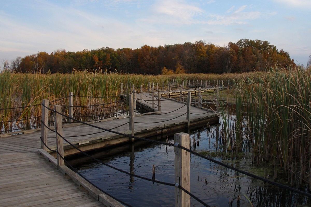 hidden-wetland-ponds-of-wisconsins-horicon-marsh