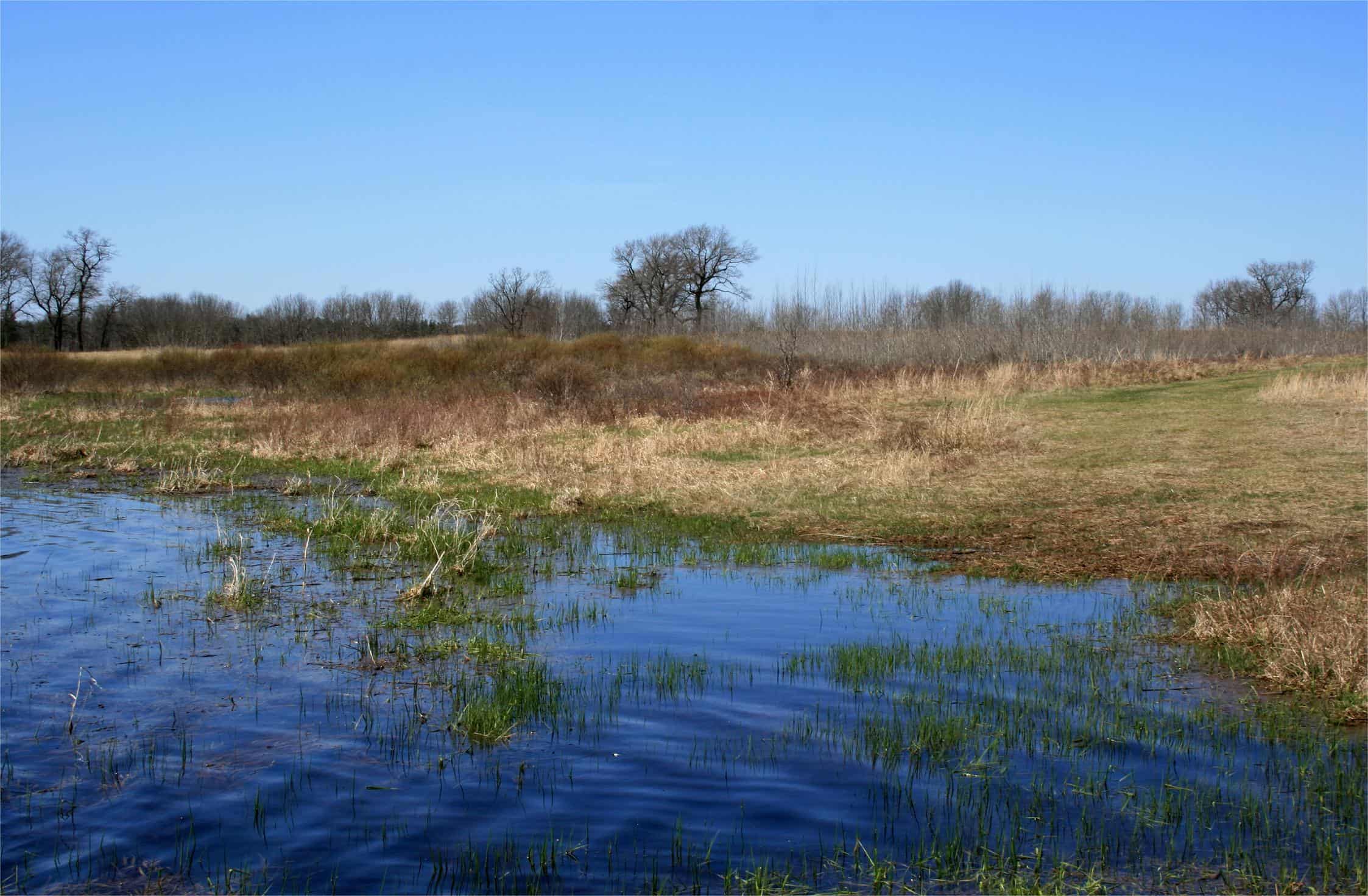 hidden-wetland-trails-in-wisconsins-necedah-refuge