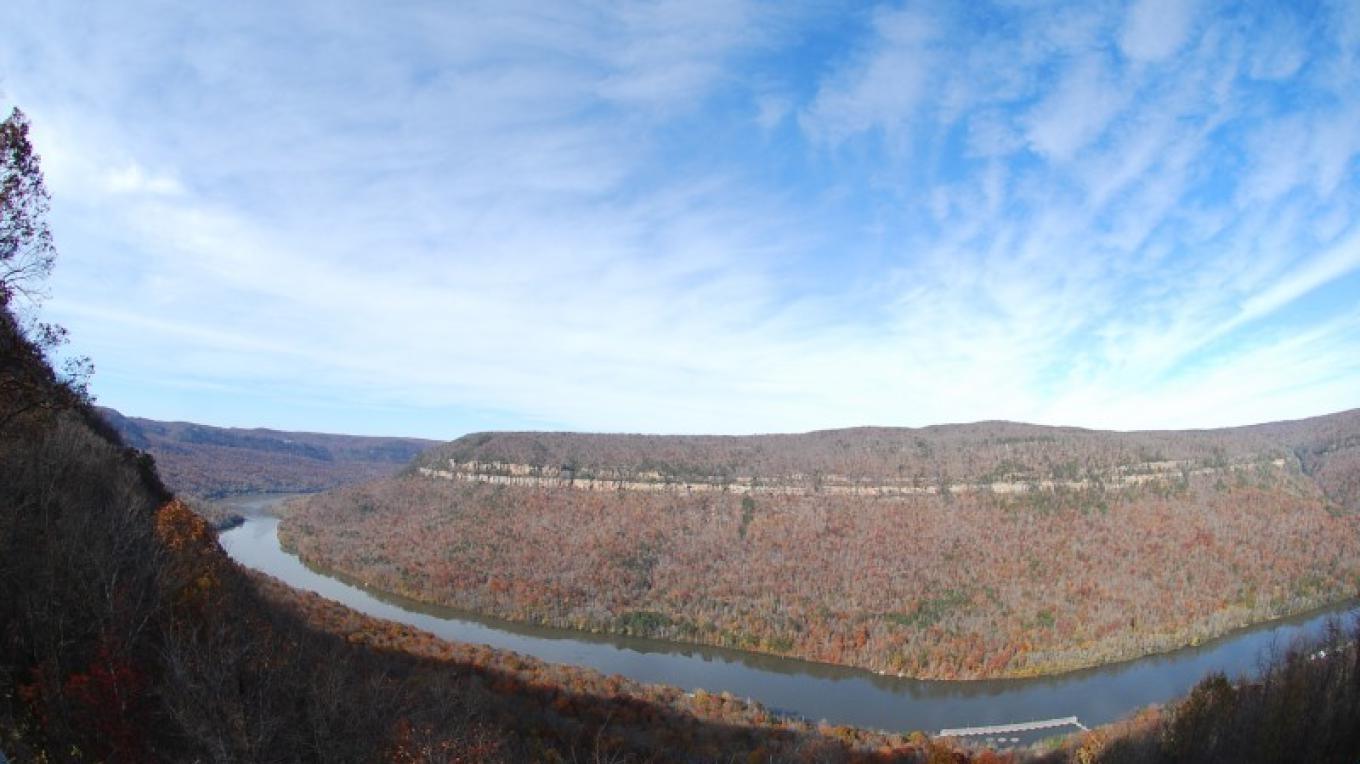 hidden-wildlife-sanctuaries-of-tennessees-raccoon-mountain