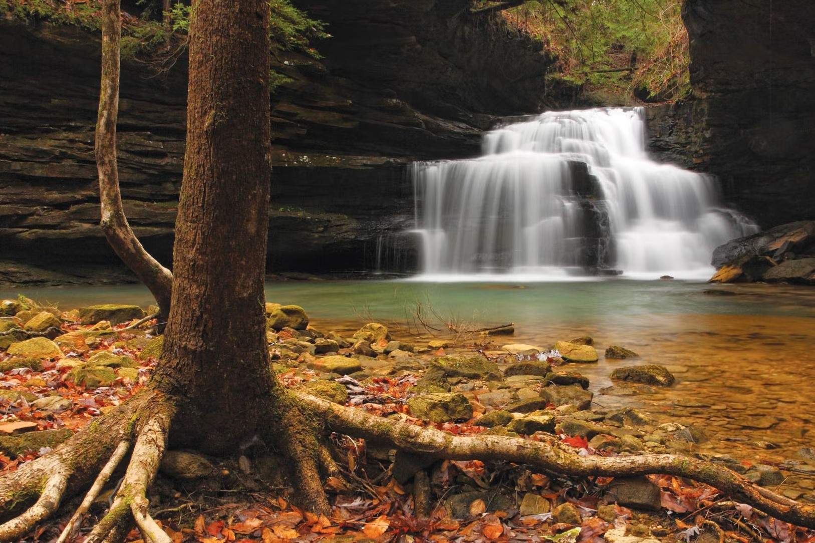hidden-wonders-of-alabamas-bankhead-forest-double-falls