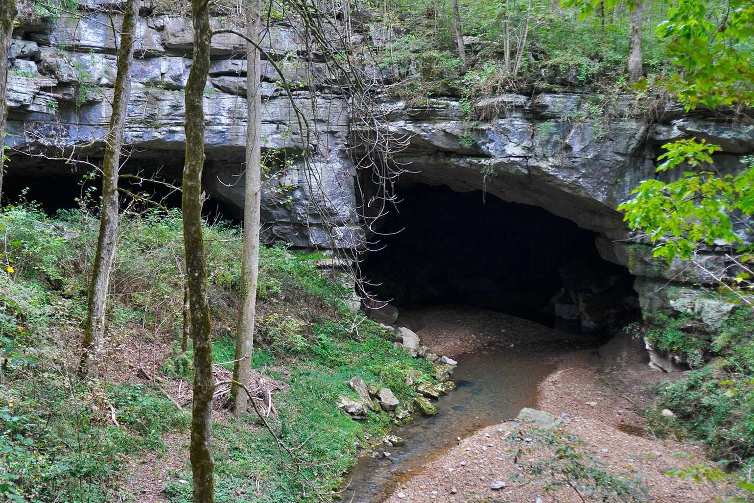 hidden-wonders-of-alabamas-russell-cave-tours
