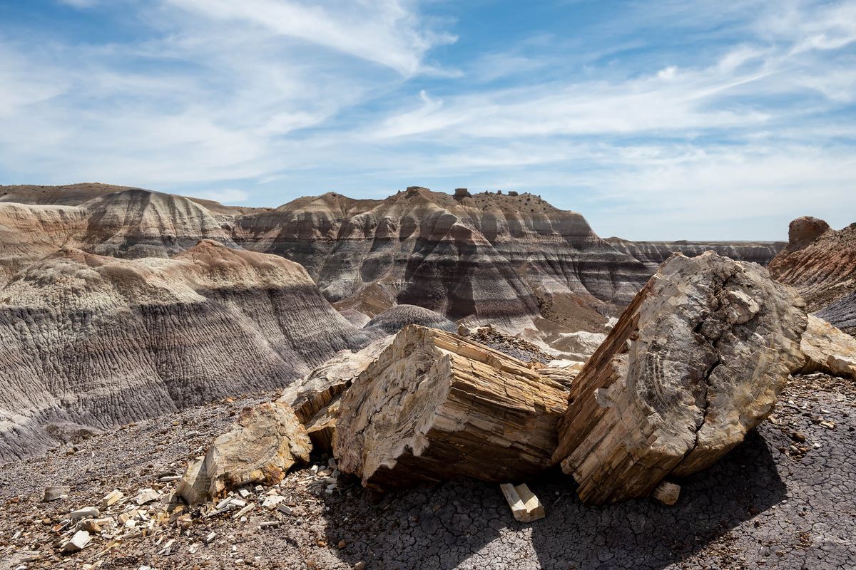 hidden-wonders-of-arizonas-petrified-forest-blue-mesa-badlands