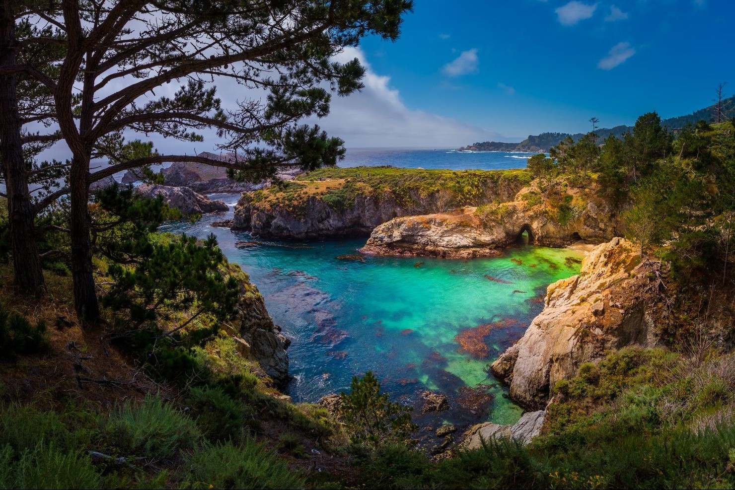 hidden-wonders-of-californias-point-lobos-china-cove