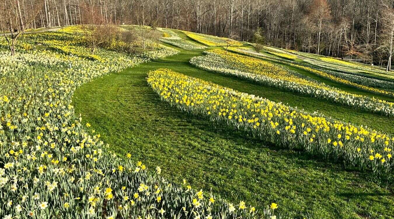 hidden-wonders-of-georgias-gibbs-gardens