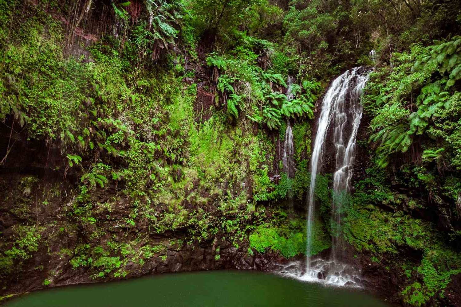 hidden-wonders-of-madagascars-montagne-dambre-waterfall-pools