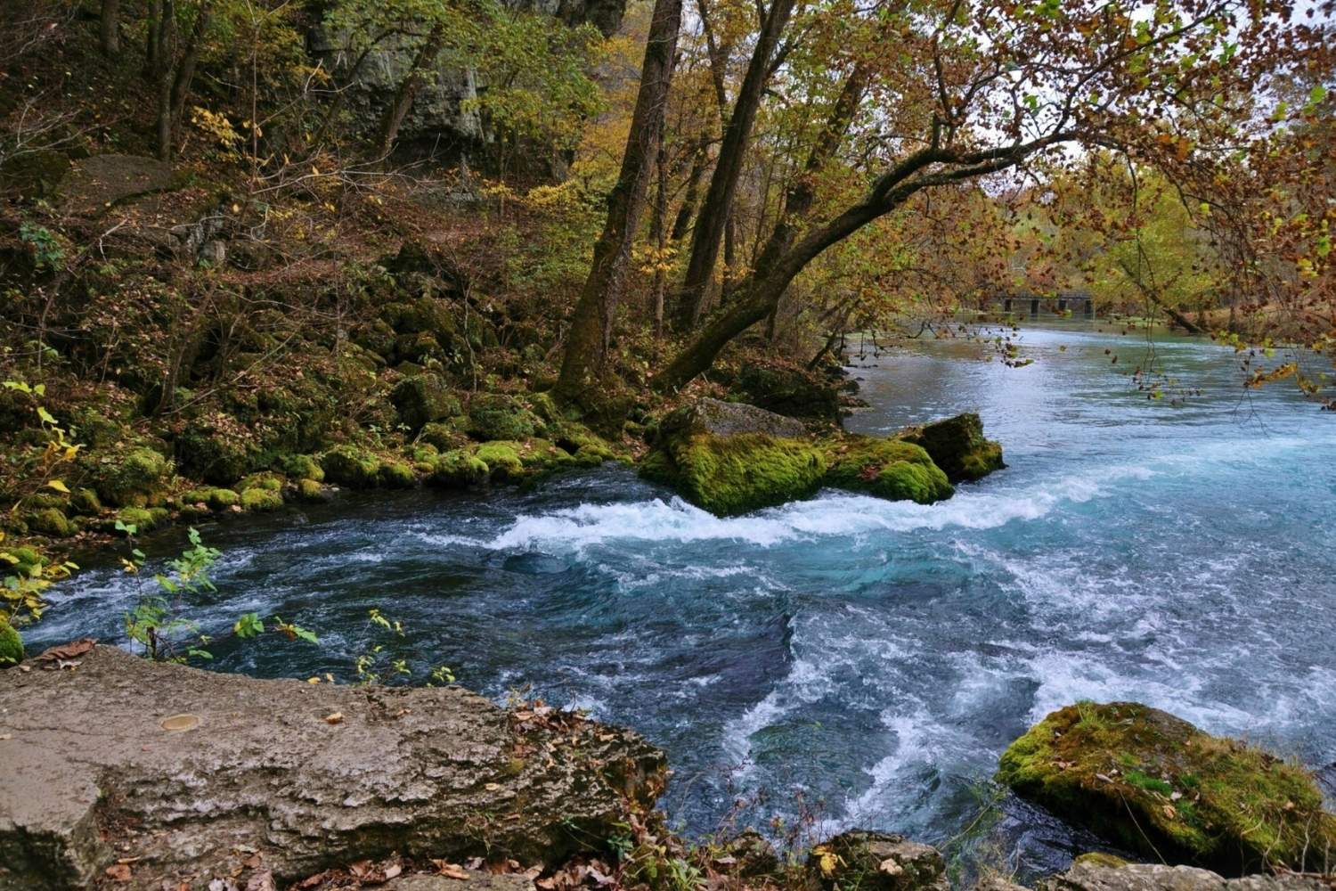 hidden-wonders-of-missouris-big-spring-state-park