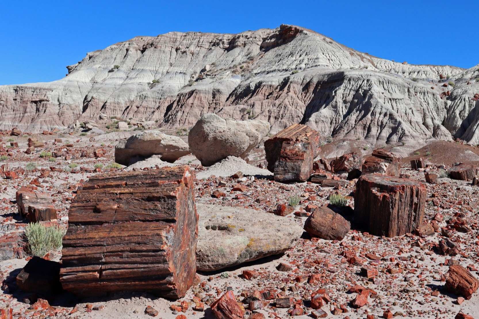 hidden-wonders-of-north-dakotas-little-missouri-badlands-petrified-forest