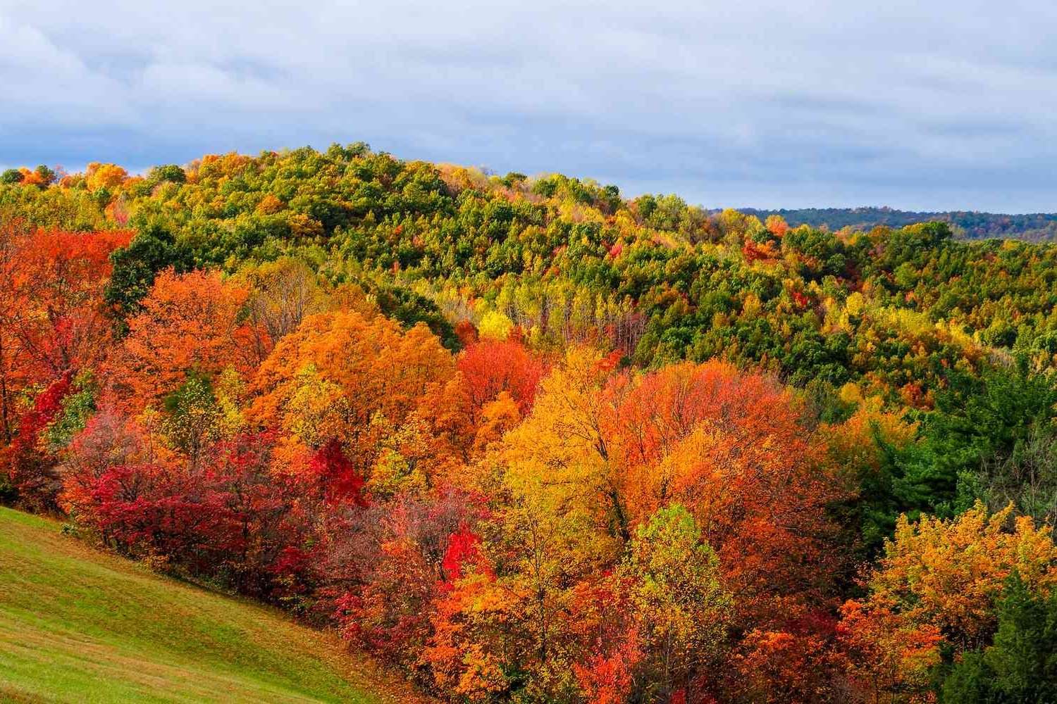 hidden-wonders-of-ohios-hocking-hills-forests