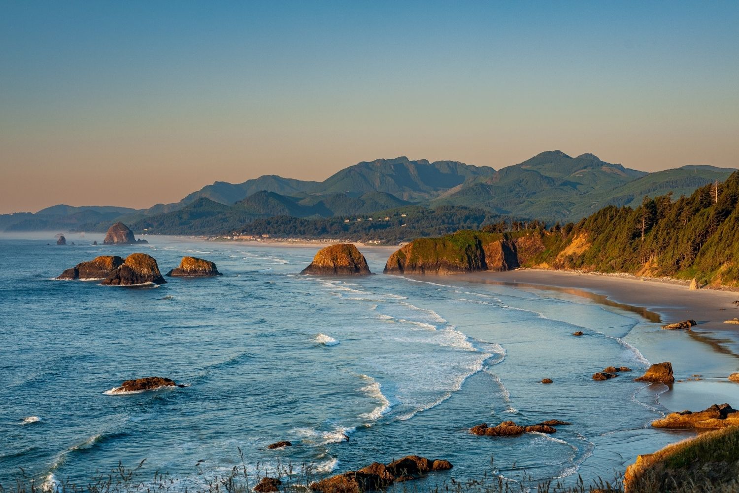 hidden-wonders-of-oregons-cannon-beach-tidepools