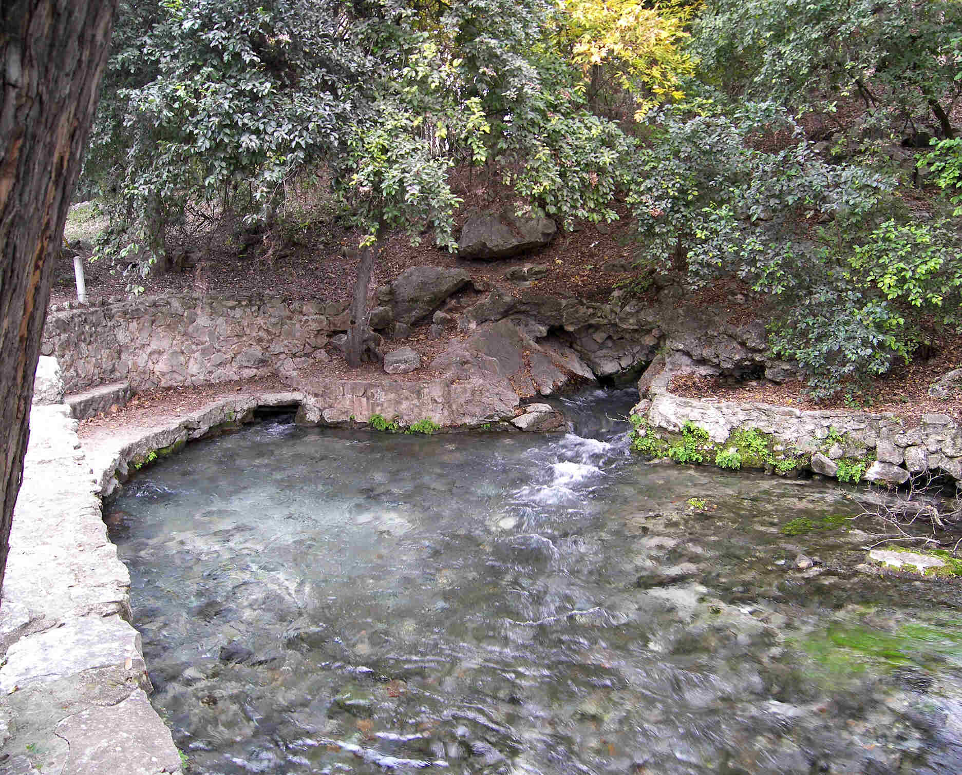hidden-wonders-of-texass-comal-springs