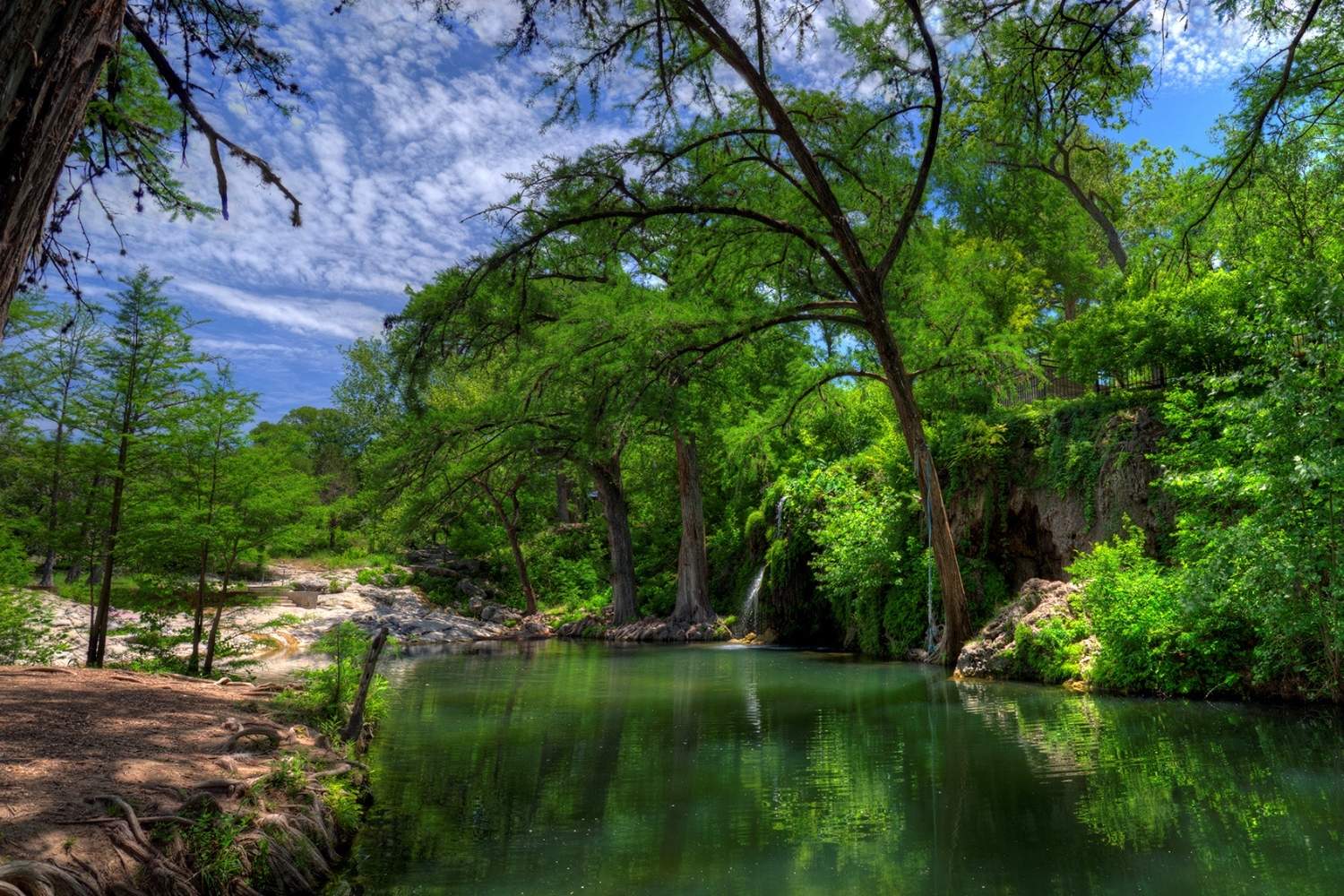 hidden-wonders-of-texass-krause-springs