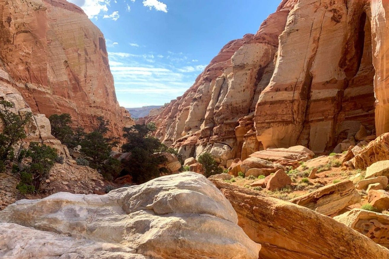 hidden-wonders-of-utahs-capitol-reef-cohab-canyon-slot-formation
