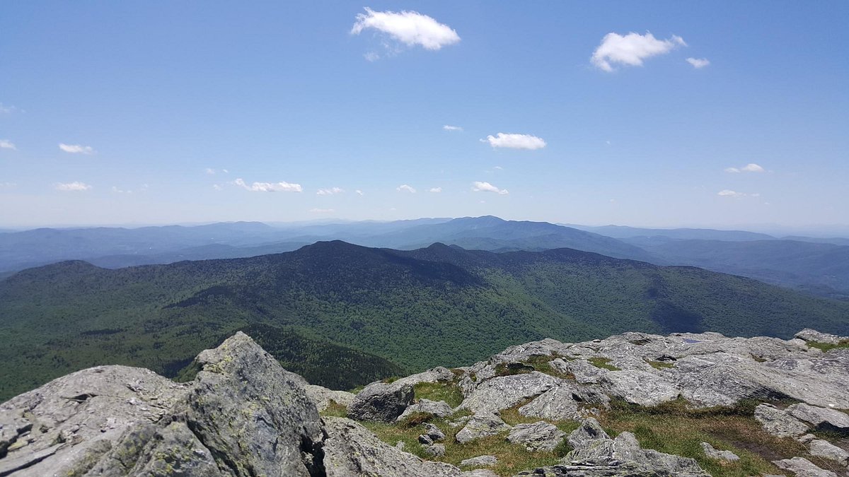 hidden-wonders-of-vermonts-green-mountains-camels-hump-alpine-zone