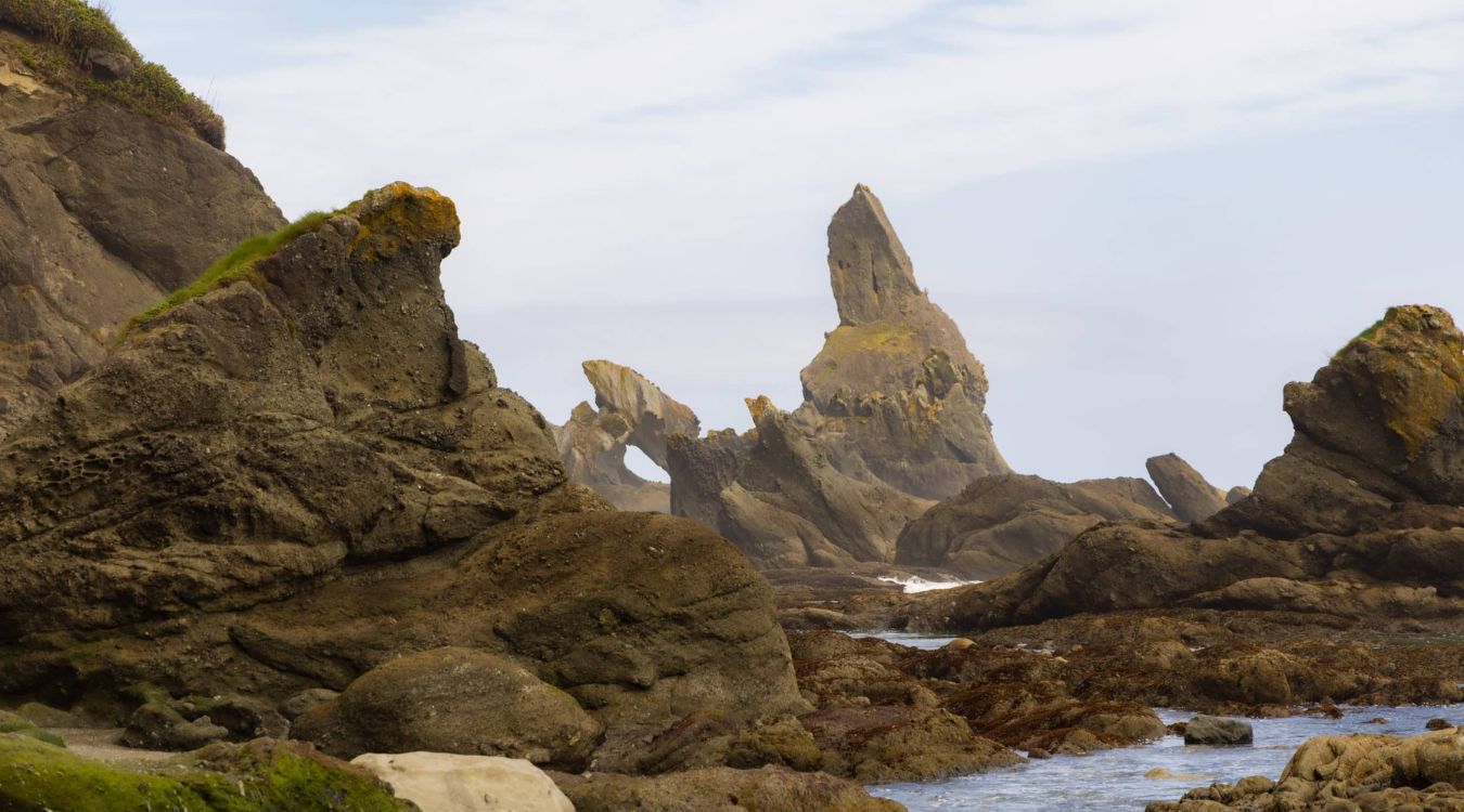 hidden-wonders-of-washingtons-olympic-coast-sea-stack-gardens