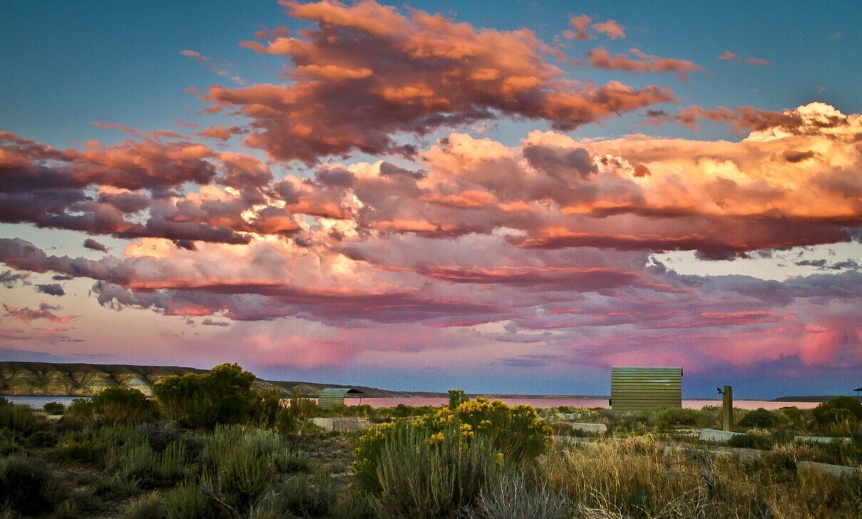 hidden-wonders-of-wyomings-fontenelle-reservoir-bald-eagle-sanctuary