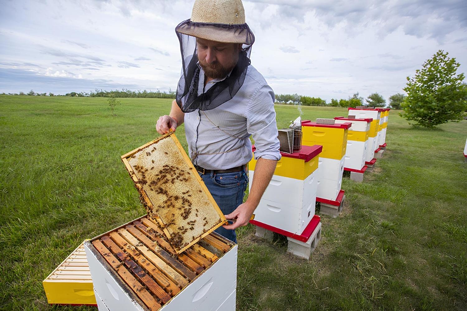 iowa-state-universitys-secret-pollinator-research-stations