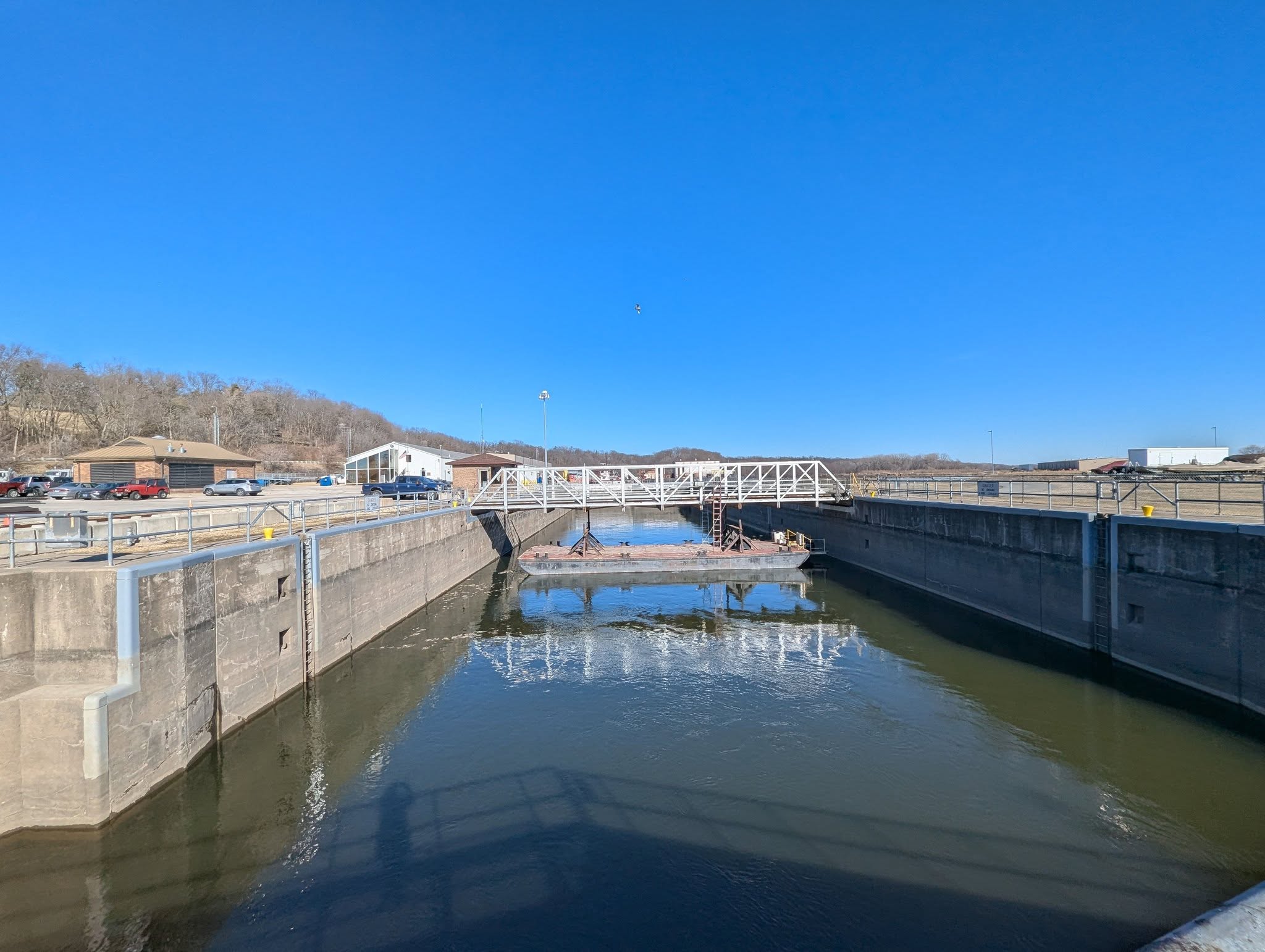 Iowa8217s-Lock-And-Dam-14-And-Its-Secret-Bald-Eagle-Wintering-Grounds iowas-lock-and-dam-14-and-its-secret-bald-eagle-wintering-grounds