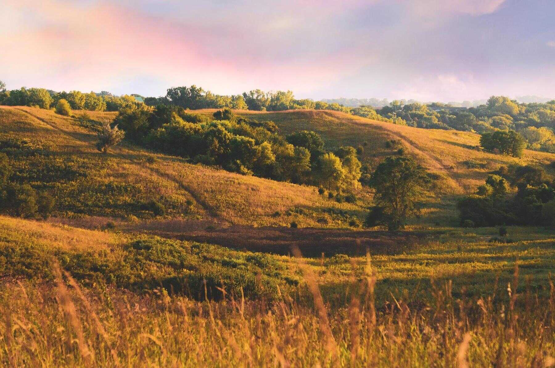 iowas-loess-hills-prairie-secrets