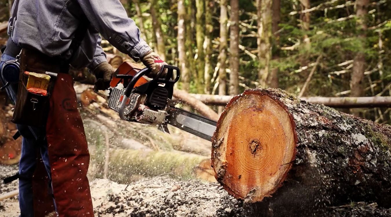 logging-precision-forestry-research-at-oregon-state-university
