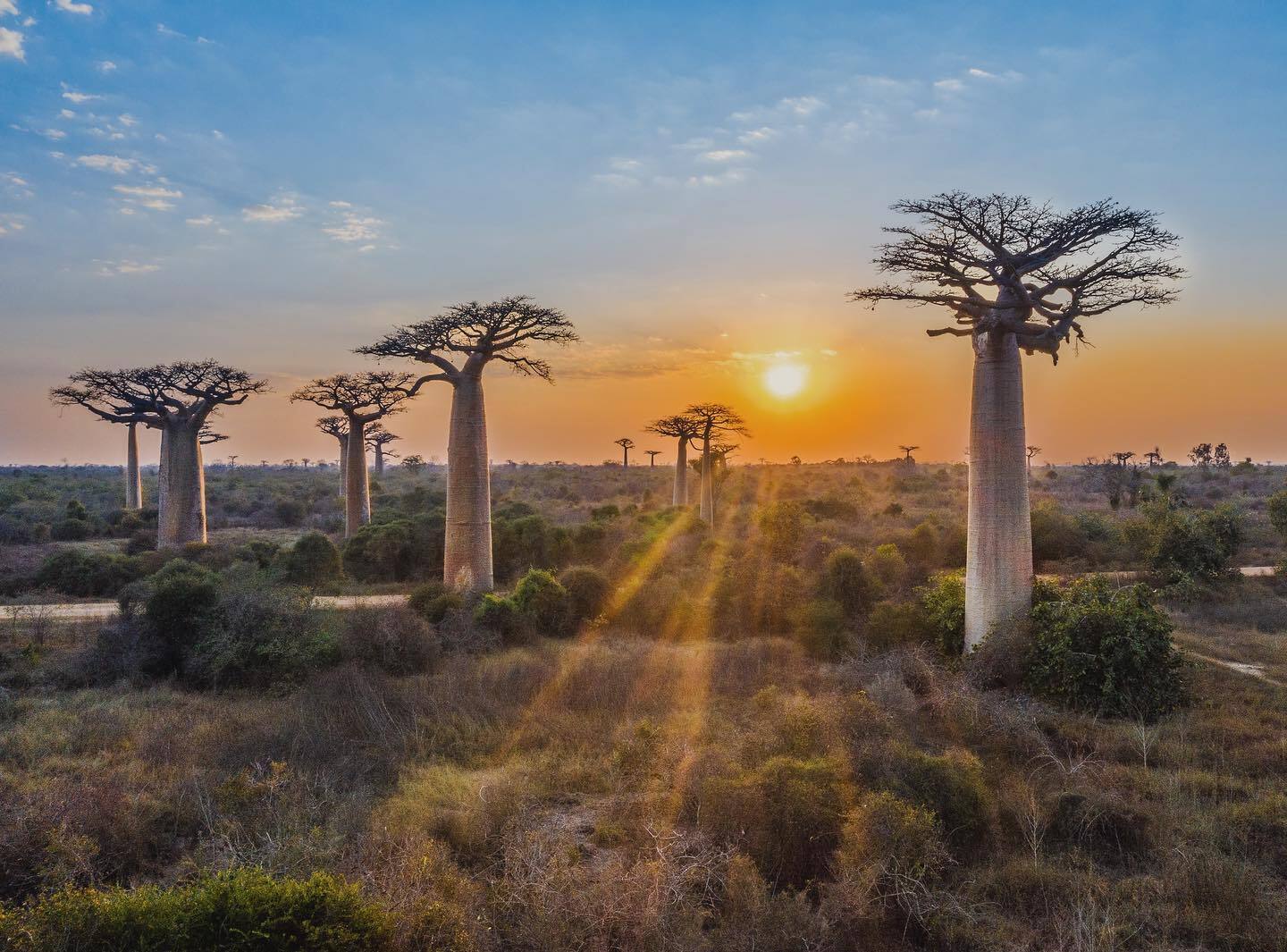 madagascars-avenue-of-baobabs-at-sunset-revealed