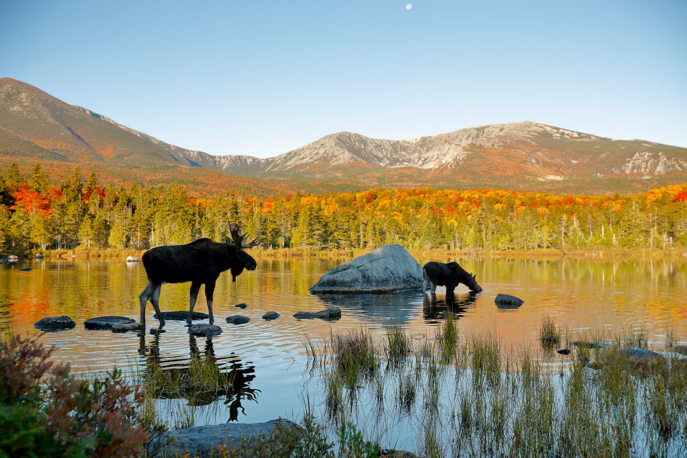 maines-baxter-russell-pond-lean-to-mountain-views-revealed